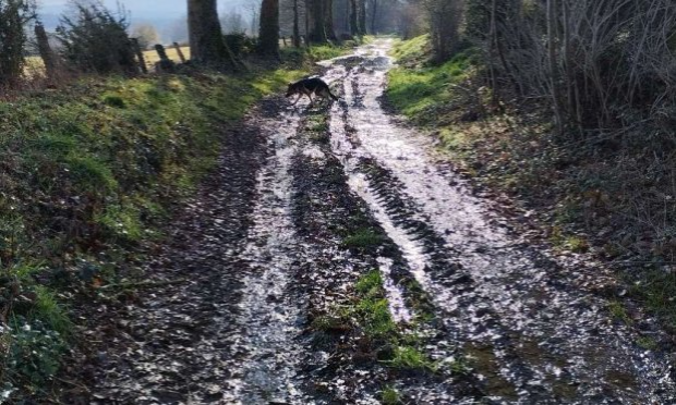 Petition : Aidez-moi à rendre accessible le chemin de mon refuge pour animaux SVP !