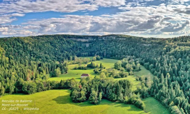 Petition : Stop au massacre de nos forêts françaises pour les panneaux solaires au sol !