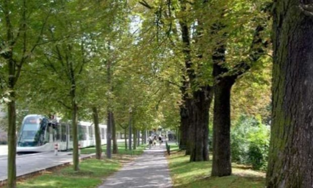 Petition : Pour la végétalisation de l'espace public (cours des écoles, rues piétonnes, parkings...) STOP AU BITUME