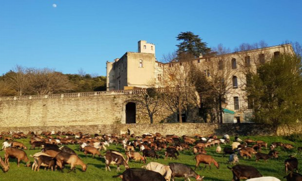 Petition : Sauvegardons le Château de l’environnement de Buoux !