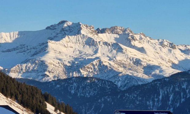Petition : Pléiadiens, les rencontrer physiquement