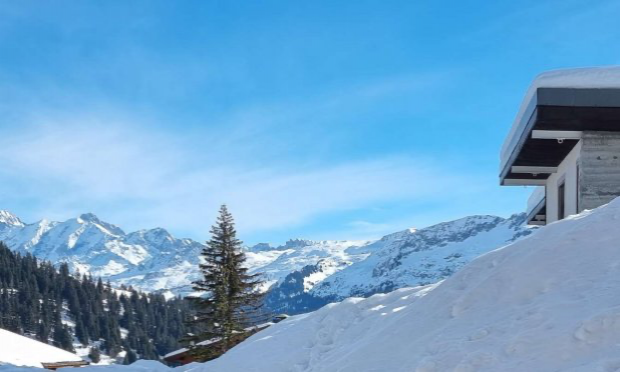 Petition : Pléiadiens, les rencontrer physiquement