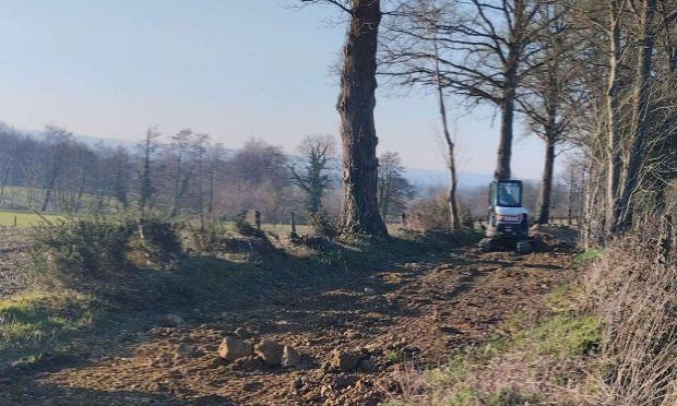 Petition : Aidez-moi à rendre accessible le chemin de mon refuge pour animaux SVP !