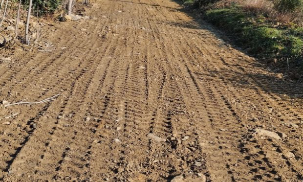 Petition : Aidez-moi à rendre accessible le chemin de mon refuge pour animaux SVP !