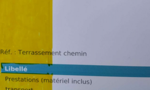 Petition : Aidez-moi à rendre accessible le chemin de mon refuge pour animaux SVP !