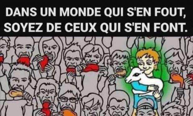 Petition : Défis environnementaux, sanitaires, torture animale : végétalisons notre alimentation.