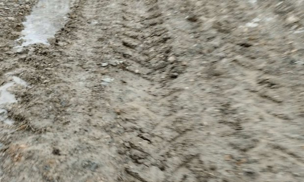 Petition : Aidez-moi à rendre accessible le chemin de mon refuge pour animaux SVP !