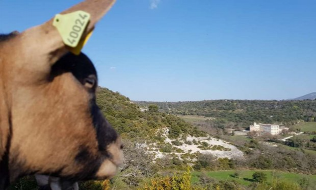 Petition : Sauvegardons le Château de l’environnement de Buoux !