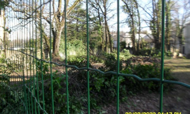 Petition : Stop à l'abattage des arbres au Bout des Landes à Nantes