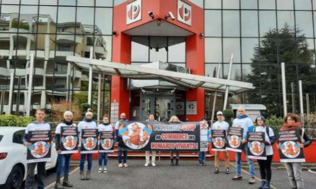 Petition : Stop à la commercialisation des crustacés vivants chez Provencia