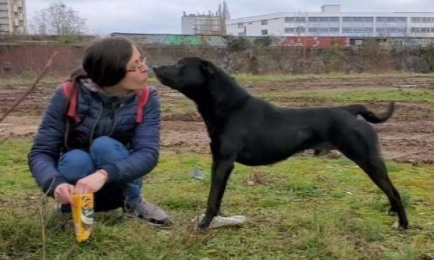 Petition : Urgence : continuons le combat pour sauver Lycos !