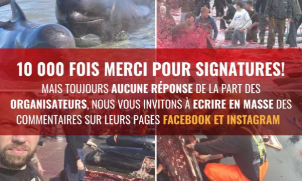 Petition : Trolls et Légendes : 'Tyr' un groupe pour le massacre des dauphins !