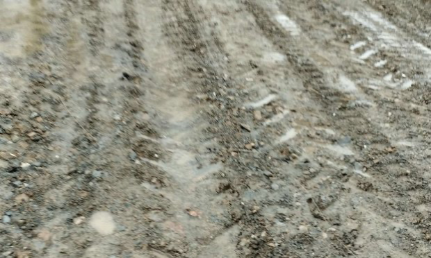 Petition : Aidez-moi à rendre accessible le chemin de mon refuge pour animaux SVP !