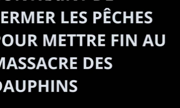 Petition : Stop à la mortalité des dauphins sur les côtes atlantiques !