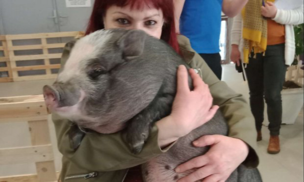 Petition : Pour une généralisation de la médiation animale dans les EHPAD