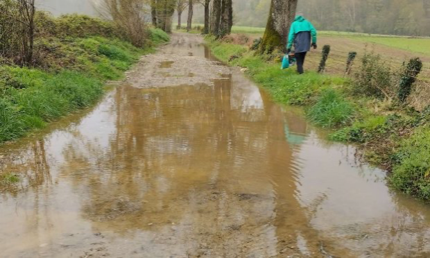 Petition : Bien être animal : pas de maltraitance plus d'abandons !