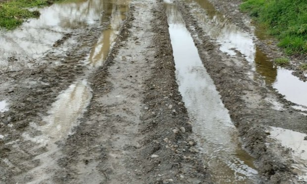 Petition : Aidez-moi à rendre accessible le chemin de mon refuge pour animaux SVP !