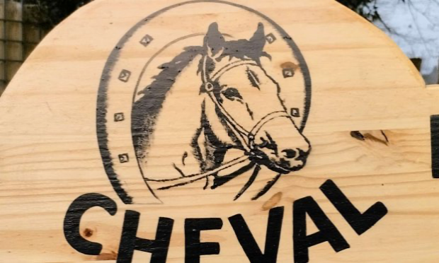 Petition : Stop à l'exportation des chevaux vers le Japon pour leur viande !