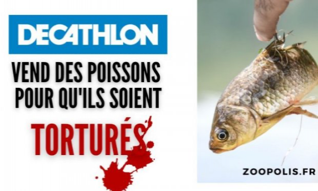 Petition : Decathlon Ecully : Cessez de vendre des poissons pour qu’ils soient torturés !