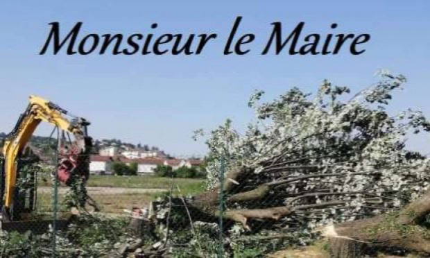 Petition : Non à l'abattage des Tilleuls remarquables de Villars