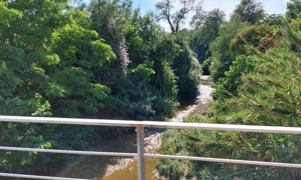 Petition : Non à l'abattage de 234 arbres au cœur d'Aubagne !
