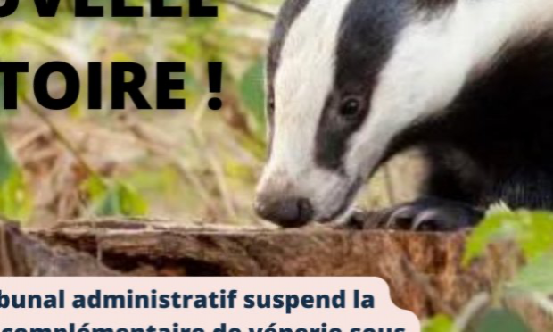 Petition : Vénerie sous terre du blaireau :  NON à l’obstination déraisonnable de la préfecture d’Ille-et-Vilaine.