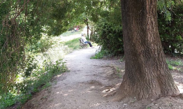 Petition : Non à l'abattage de 234 arbres au cœur d'Aubagne !