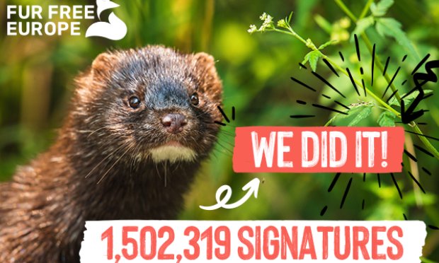 Petition : Interdiction des ventes de fourrures animales à Paris