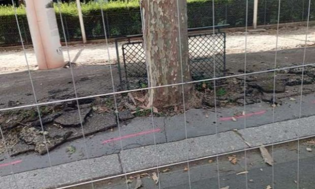 Petition : Pour la végétalisation de l'espace public (cours des écoles, rues piétonnes, parkings...) STOP AU BITUME