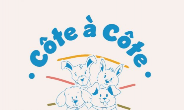Petition : Moins d'interdits pour nos amis les chiens sur les plages de la Côte de Granit Rose !