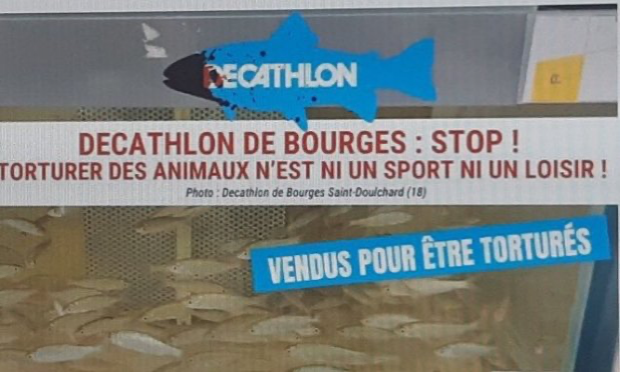 Petition : Decathlon de Bourges : Stop ! Torturer des animaux n’est ni un sport ni un loisir !