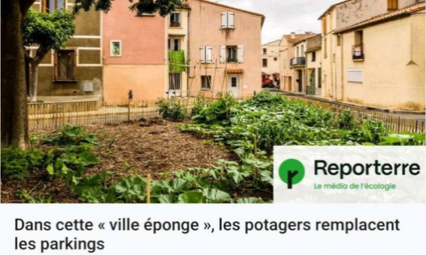 Petition : Pour la végétalisation de l'espace public (cours des écoles, rues piétonnes, parkings...) STOP AU BITUME