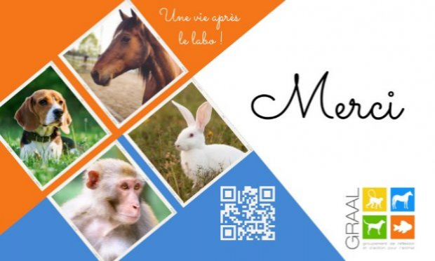 Petition : Demandons un droit de retraite en faveur des animaux de laboratoire. Objectif euthanasie zéro !