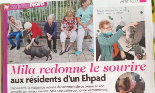 Petition : Pour une généralisation de la médiation animale dans les EHPAD