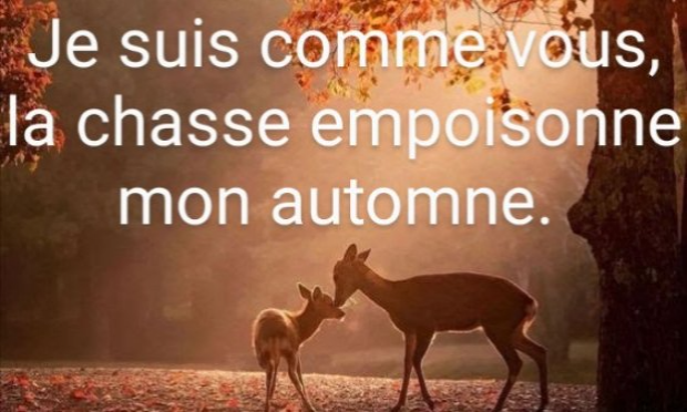 Petition : Pour l'abolition de la chasse à courre