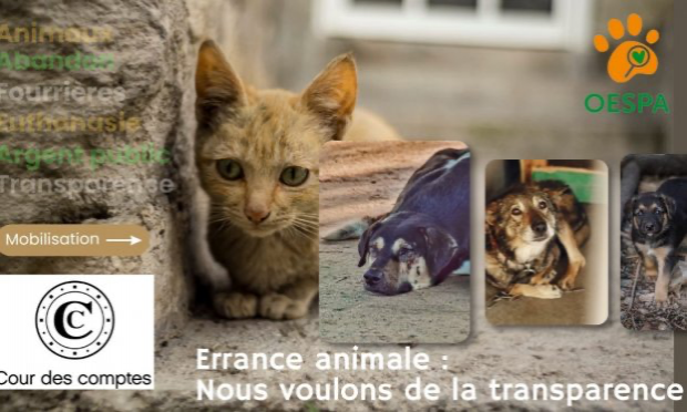 Petition : Article 3bis de la PPL Animaux : le cri d'alerte des refuges !