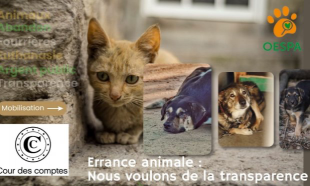 Petition : Abandon des animaux : nous voulons de la transparence !
