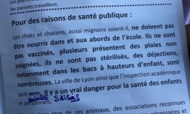 Petition : Stérilisation des chats errants Croix Rousse !