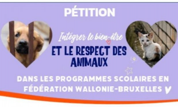 Petition : Pour l'intégration du respect et du bien-être des animaux dans les programmes scolaires !