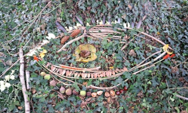 Petition : Urgent : Sauvons les arbres centenaires à Sens de Bretagne !