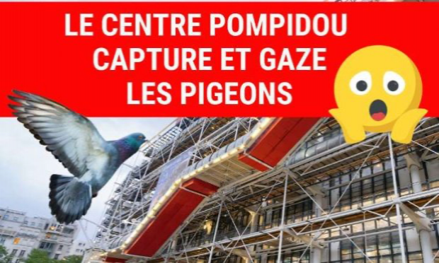 Petition : Non à la fermeture du marché aux oiseaux à Paris !