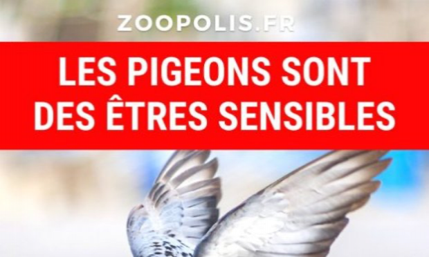 Petition : Paris : Défendre Giuseppe, le retraité de 74 ans à la rue depuis l'année 2010