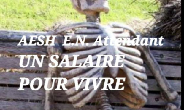 Petition : Une AESH pour chaque élève notifié d'un salaire décent et d'un statut !