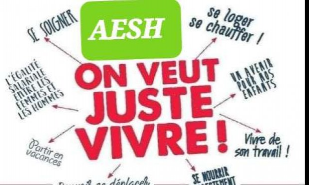 Petition : Une AESH pour chaque élève notifié d'un salaire décent et d'un statut !