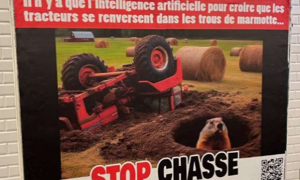 Petition : Exigeons l'interdiction de la chasse à la marmotte