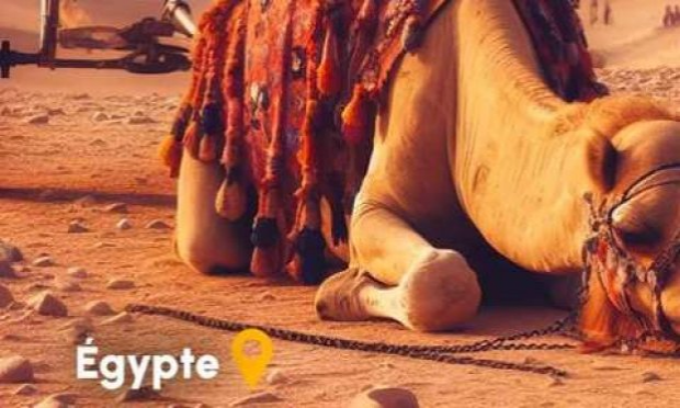Petition : Stop à l'utilisation des dromadaires et calèches pour le tourisme en Egypte