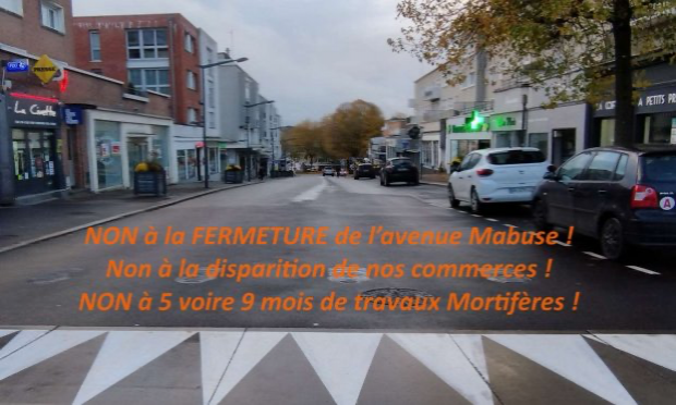 Petition : Pétition pour un moratoire sur l'abattage des arbres Maubeugeois !