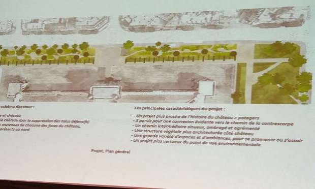 Petition : Sauvons les arbres d’alignement du Château de Vincennes.
