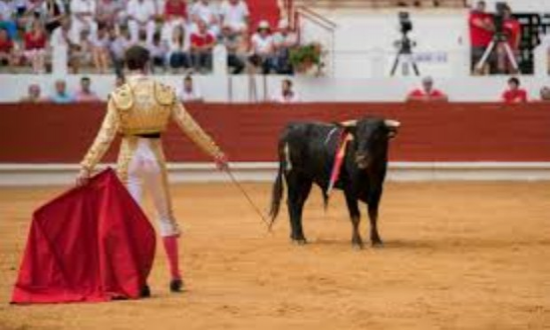 Petition : Interdisons la corrida !