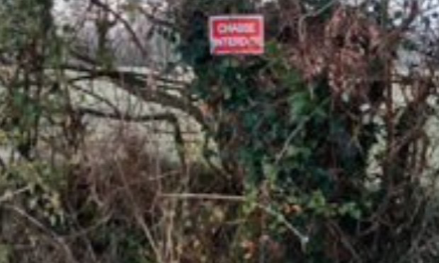 Petition : Stop à la chasse : justice pour l'âne Aladin blessé par balle !